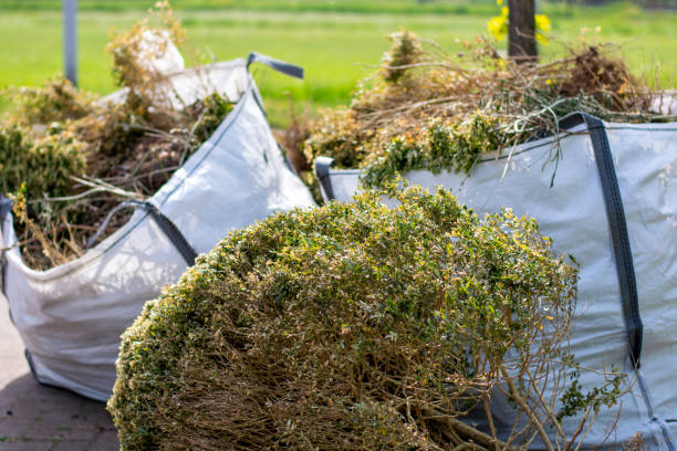 Best Furniture Removal Near Me  in Jacksonville, NC